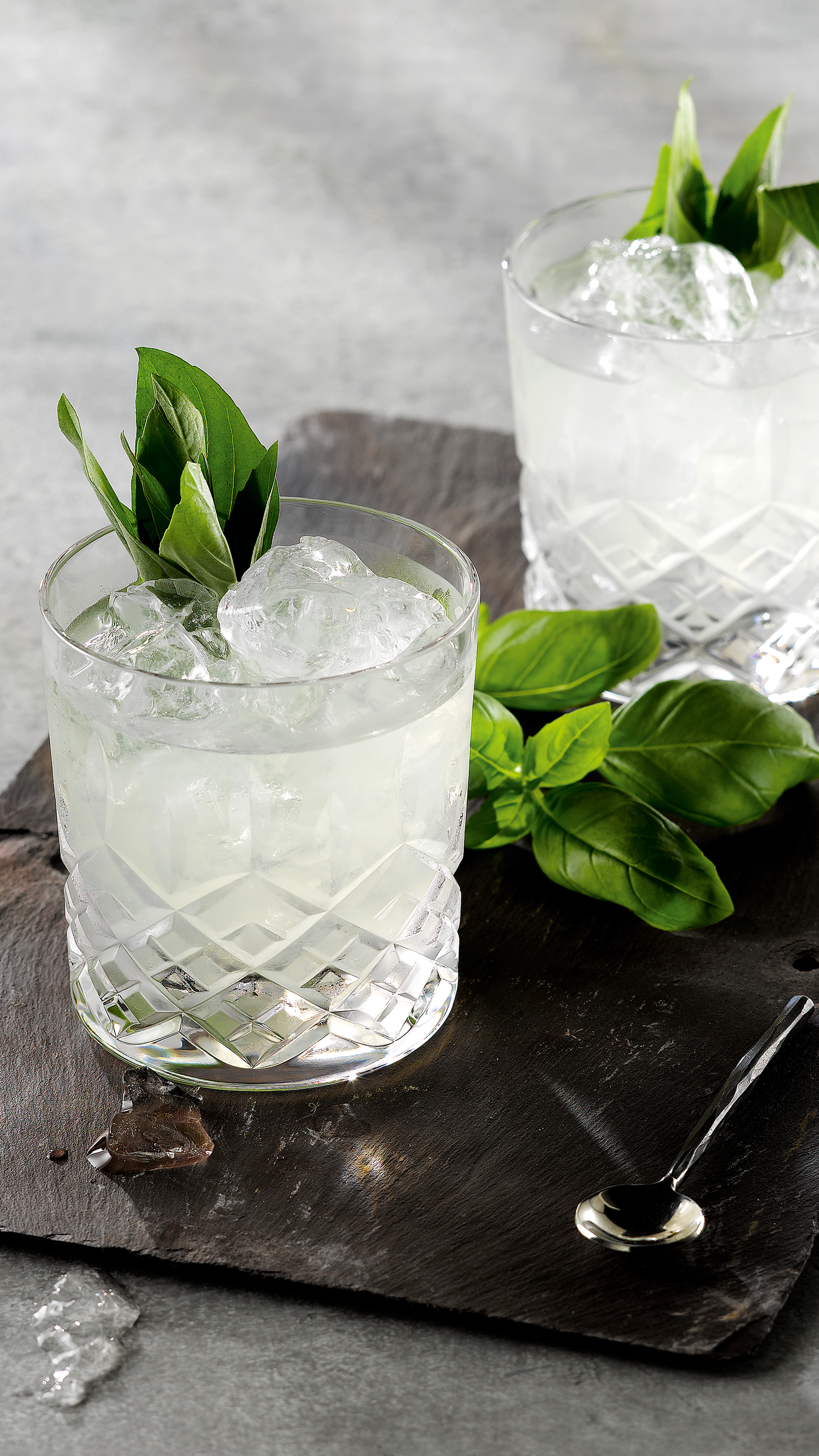 Elevate Every Drink