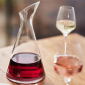 The Wine Cellar Collection Carafe