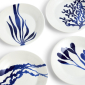Pacific Plate 16cm, Set of 4