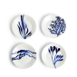 Pacific Plate 16cm, Set of 4