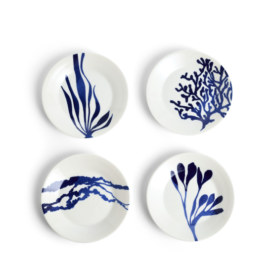 Pacific Plate 16cm, Set of 4