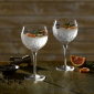 Ashmere Gin Balloon 470ml Set of 2