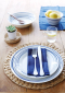 Pacific 16 Piece Dinnerware Set, Blue Lines