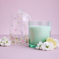 Royal Albert Velvet Jasmine & Citrus Candle
