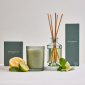 Royal Doulton 1815 Candle - Lemongrass & Lime