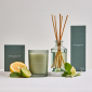 Royal Doulton 1815 Reed Diffuser - Lemongrass & Lime