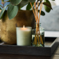 Royal Doulton 1815 Reed Diffuser - Lemongrass & Lime
