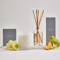 Royal Doulton 1815 Reed Diffuser - White Gardenia