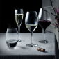More Champagne - Set of 4